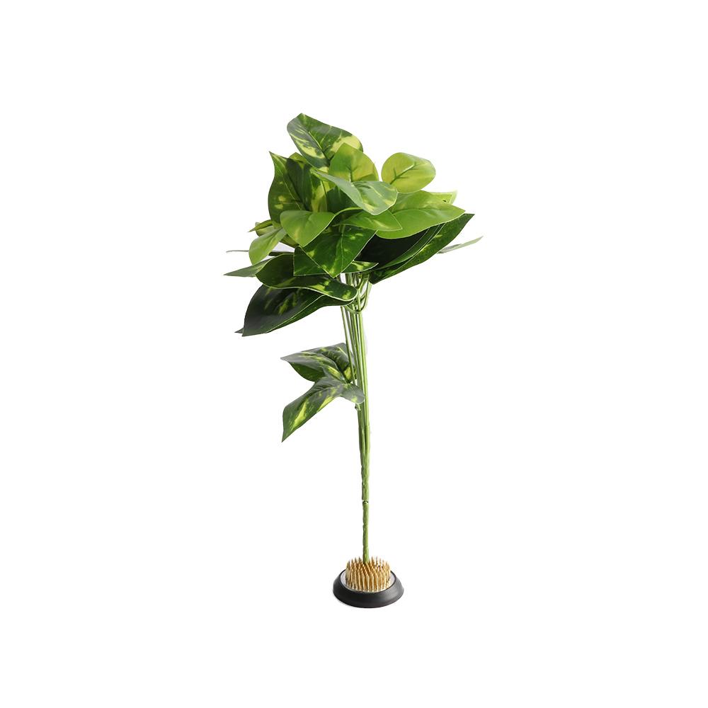 Rubber Kenzan Spiky Needle Flo - Flower Frog Pin 评论和价格
